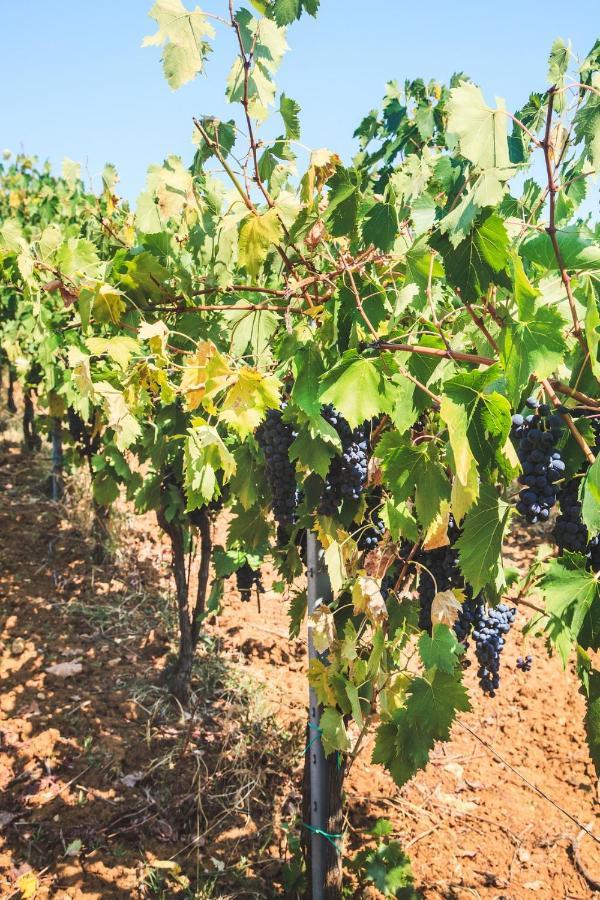 Case Vacanza Podere Risoino Poggibonsi Luaran gambar